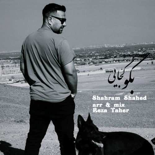 دانلود آهنگ جدید شهرام شاهد با عنوان بگو کجایی